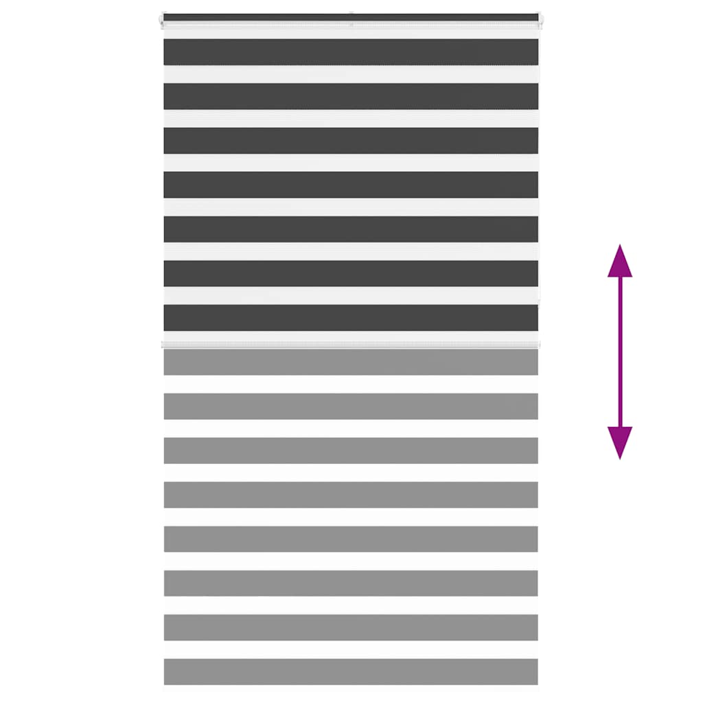 Zebra Roller Blind, Black, Fabric Width 115.9 Cm, Polyester