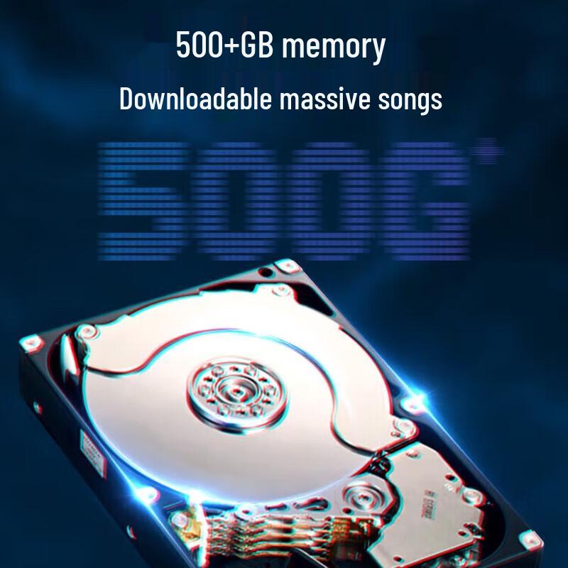 Portable Outdoor Karaoke Speaker System with Display