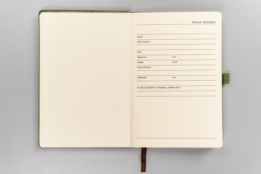 Notebook PTN NOT-6-6317 Green