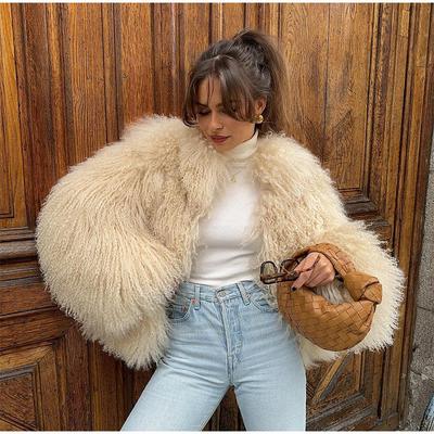 Europe, America, Autumn and Winter Teddy Curly Hair Artificial Fur Coat Women's Short Long Hair Street Cardigan Jacket