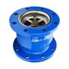 Rongyu DN125 Flange Silent Check Valve