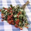 Small Dried Rose Buds for DIY Flower Arrangements and Home Decor