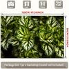2D Exotic Plant Backdrop, Lush Green and White Leaves Photography Background