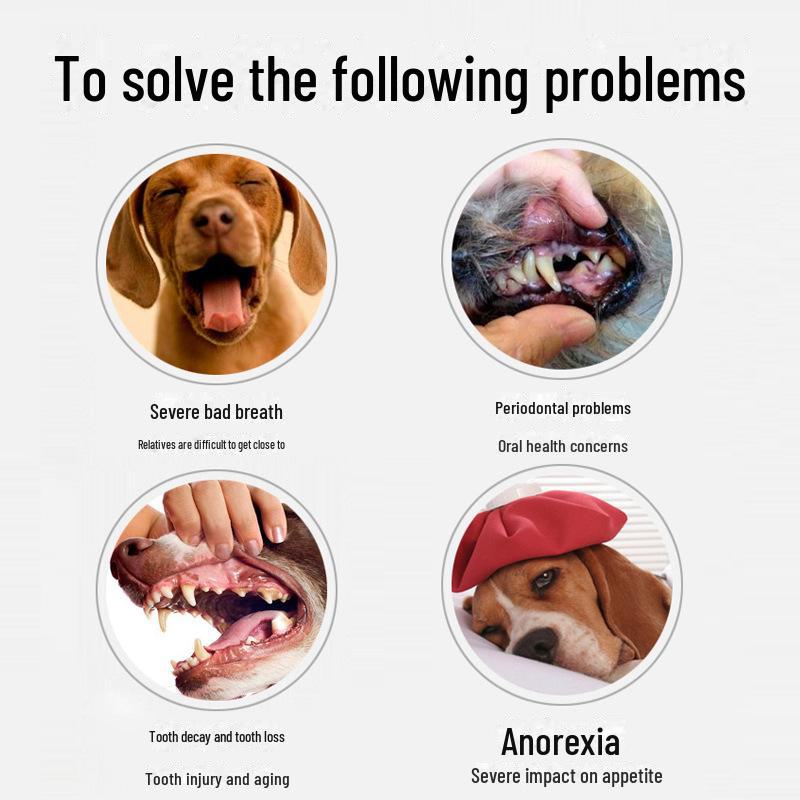 Mundpflegeset für Haustiere: Hunde- & Katzenzahnpasta mit Zahnbürste