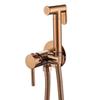 Brushed Gold Hot and Cold Bidet Sprayer Attachment Kit Pressure Adjustable T-valve Brass Hand Held Bidets Shattaf