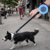 Hands-Free Automatic Retractable Pet Leash Reflective Dog Leash Dog Walking Training