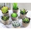 Simulate Potted Plant Cute Microlandschaft Home Office Hotel Decoration