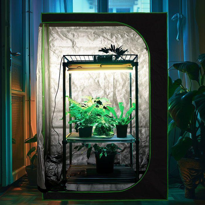 Relaxdays Chambre de culture, film intérieur réfléchissant à 95 %, HLP 180 x 80 x 80 cm, pour l'intérieur, noir et vert