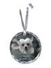 Chinese Crested Dog, Puff - Crystal Bauble with a Photo, Dog Photo In Crystal, Personalized Christmas Tree Ornament by Brand
