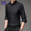 ROMON Men's Silk-Blend Business Casual Non-Iron Long Sleeve Shirt