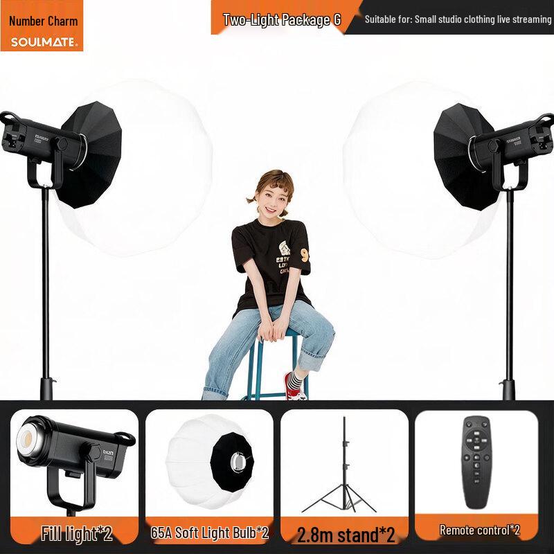 SOULMATE E300BiMax 300W Bi-color LED Video Light Kit