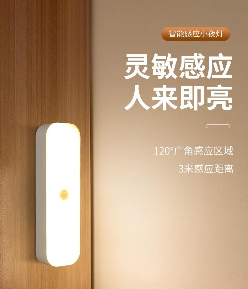 USB Human Body Intelligent Sensing Night Light Long Strip Night Light Home Corridor Passageways Lights Up At Night