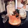 Natural Crystal Aroma Diffuser Stone Set: Clear Glass Jar with White Salt Pendant & Decorative Demagnetizing Bowl.