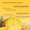 Freeze-Dried Pineapple Slices - Dried Fruit Snack & Baking Ingredient
