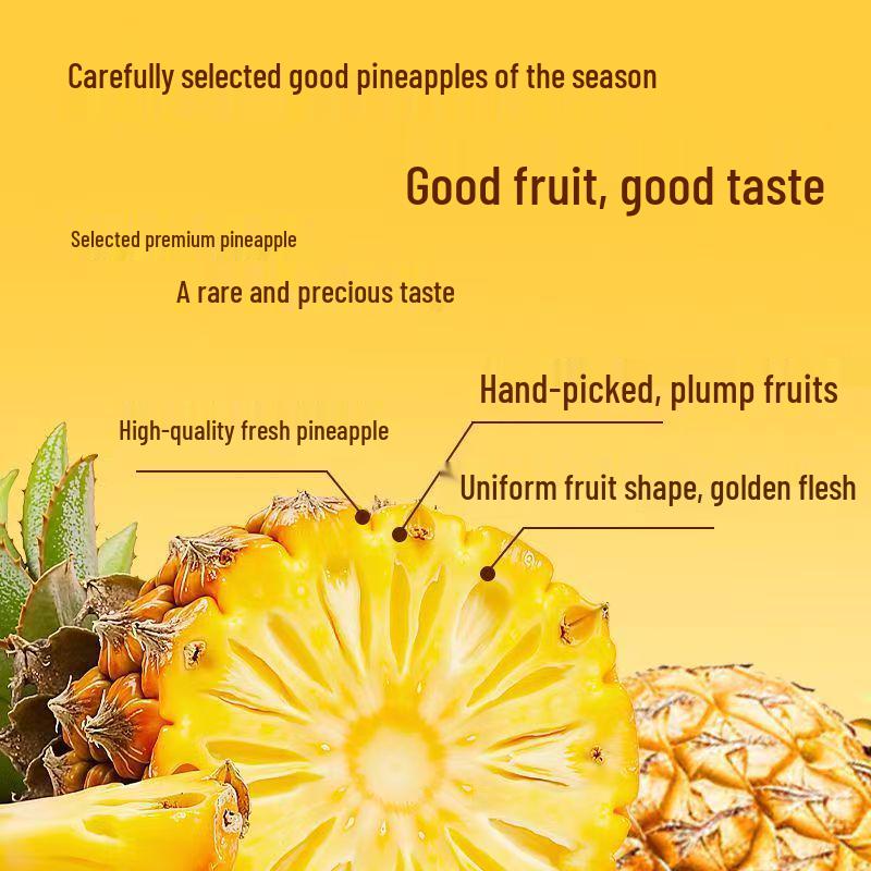 Freeze-Dried Pineapple Slices - Dried Fruit Snack & Baking Ingredient