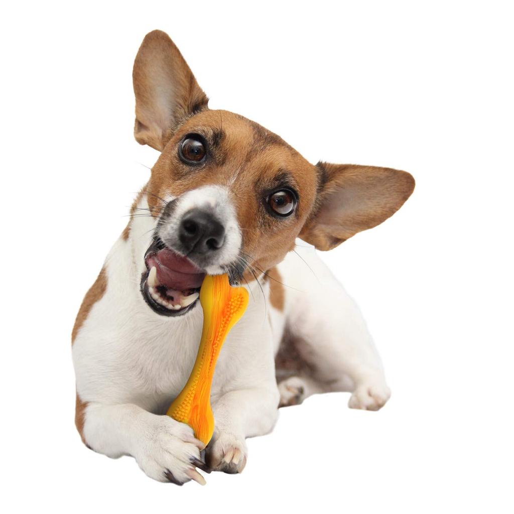 PLATZ PET SUPPLIES FUN Dog Toy Dental Toy Doggy Dent Strawberry M Size &