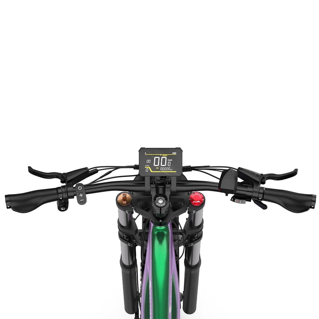 Electric Mountain Bike DUOTTS 26" 750W Motor Adult Ebike 48V 20AH Max Range 120Km Load 150Kg E26