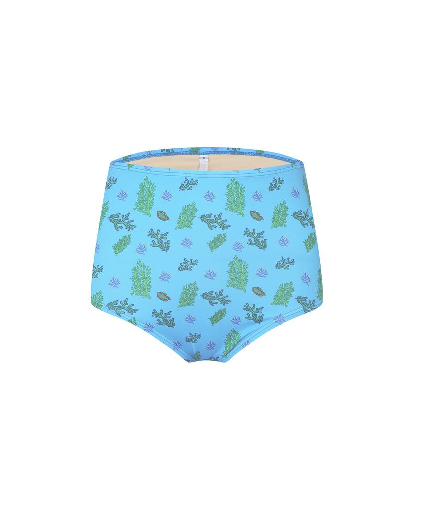 Soltipeullawo Polyp Basic Panties Blue