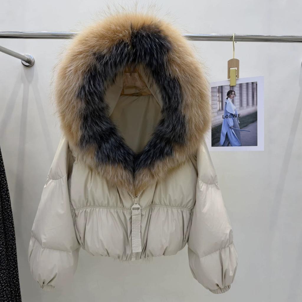Autumn and winter short daily versatile thickened loose coat women's removable natural real raccoon fur collar down jacket