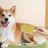Cat Hair Removal Brush, Gentle and Effective Dog Undercoat Brush, Yellow