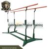 Golden Lion Fitness Training Bars