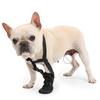  Dog Front Paws Protector Boot Water Resistant Dog Paws Protector for Post Surgeries