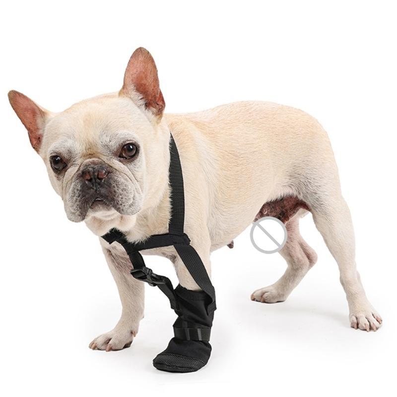 Dog Front Paws Protector Boot Water Resistant Dog Paws Protector for Post Surgeries