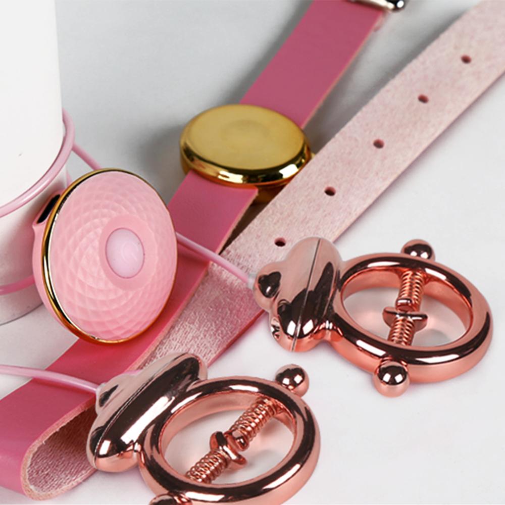 15 Modes Electric Nipple Clamp Breast Massage Vibrator Enhancer Bondage Adult Stimulator Sex Toys For Women Couples Female