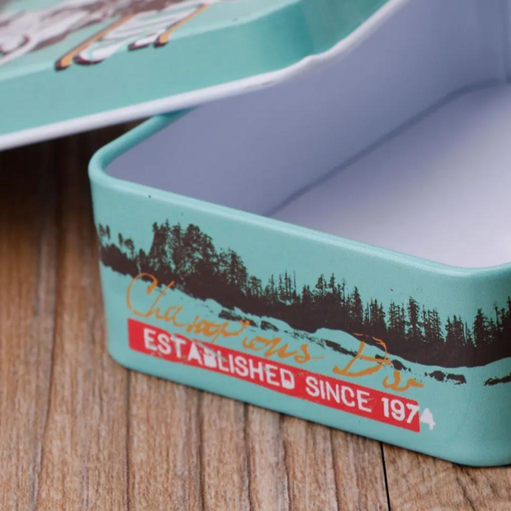 Cute Cartoon Storage Boxes  Metal Tinplate Box Small Empty Cartoon Trinket Coin Containers For Stickers Watercolor Jewelry