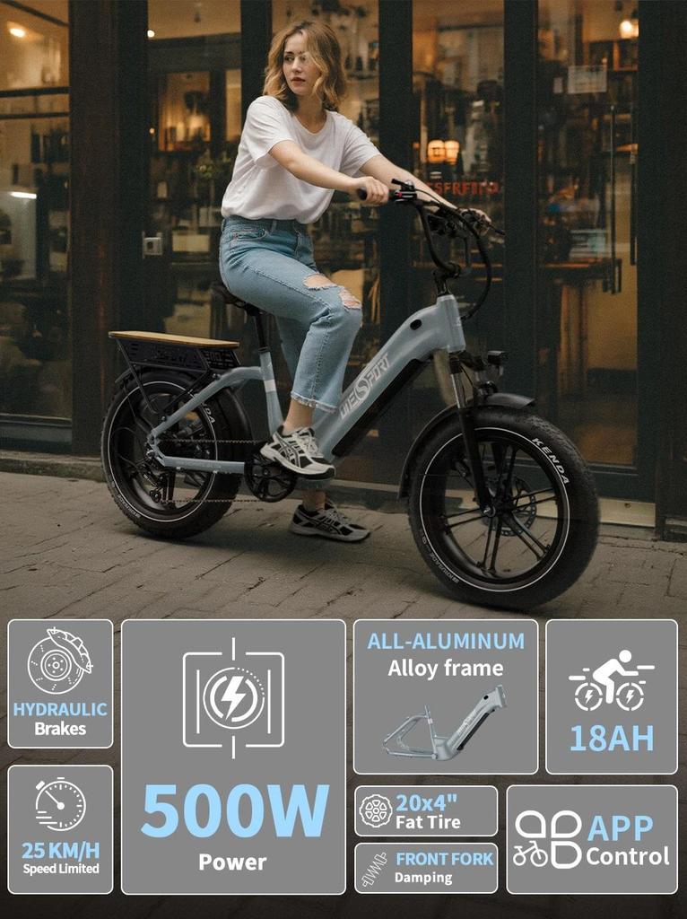 ONESPORT OT08 Electric Bicycle 20" 500W Motor Dual Disc Brakes Shimano 7 Speed LCD Display All Terrain Electric Bike