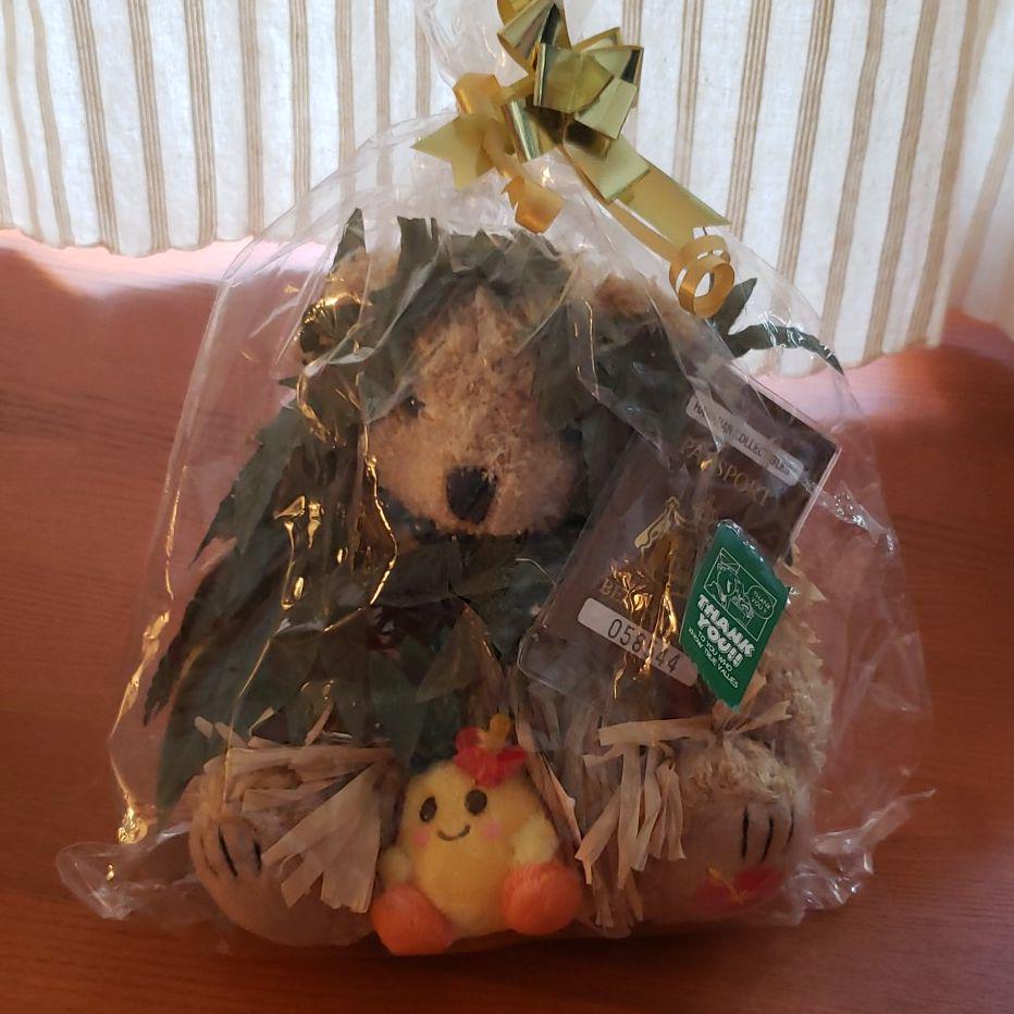 [USED] Price Reduced Again! Bear Foot Hawaii Limited Edition Teddy Bear