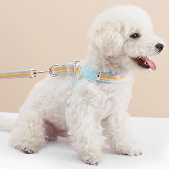 Folding Pet Bowl Portable Dog Water Bowl Foldable Pet Feeding Dish Collapsible Cat Bowl with Carabiner for Travel Outdoor Hiking