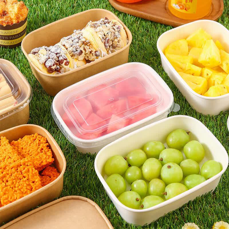 Disposable Picnic & Meal Box