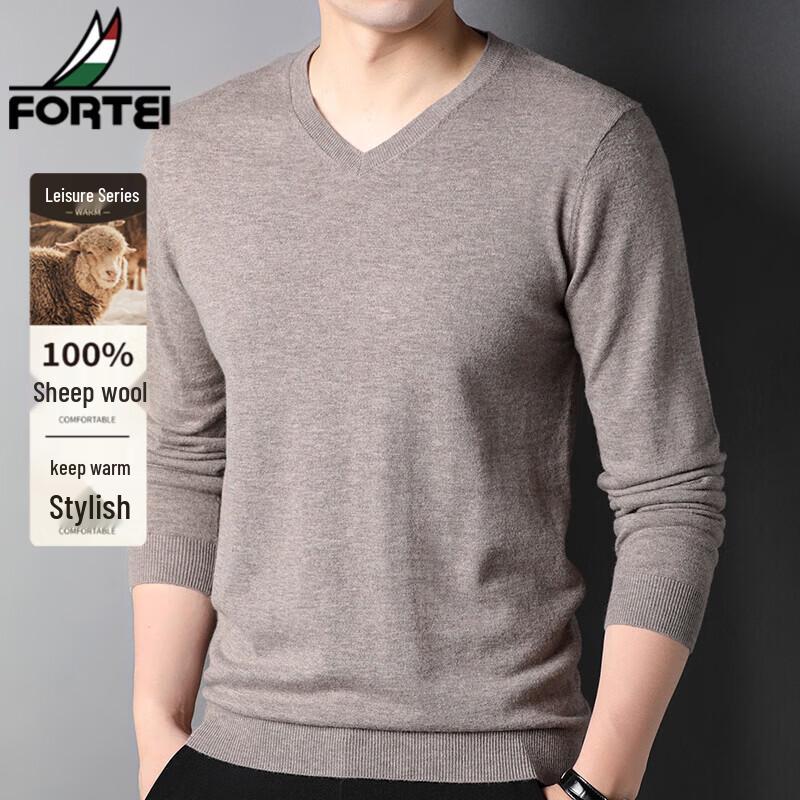 FORTEI Men's 100% Pure Wool V-Neck Pullover Sweater