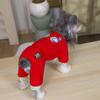 Winter Dog Four-Legged Cotton Coat Small To Large Breeds Warm Waterproof Pet Sweater In Red Blue Purple