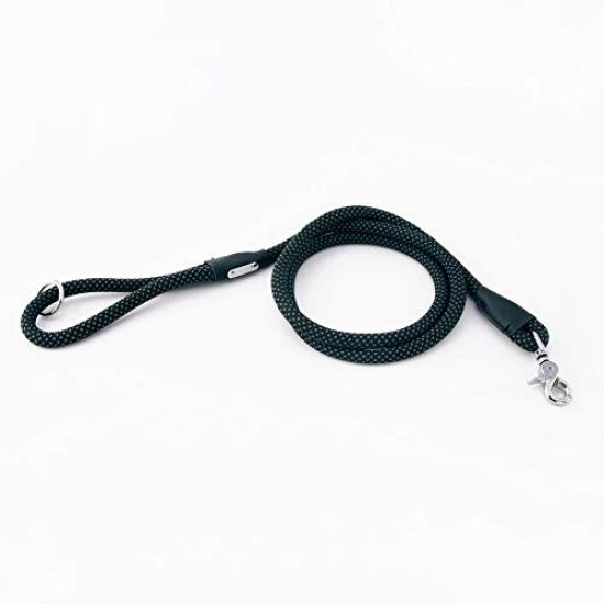 zippy paws leash
