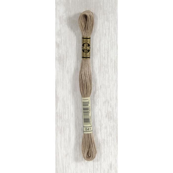 DMC Fil Mouliné 841