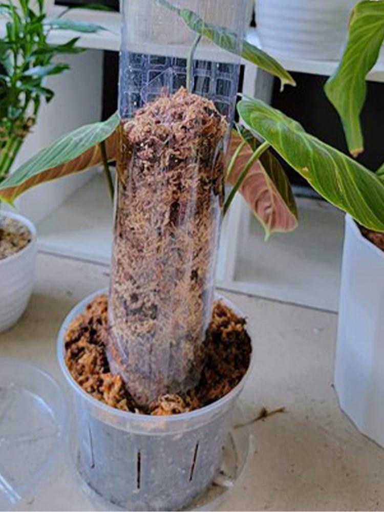 Monstera Moss Pole Plant Support Poles Garden Growth Stake Plastic Moss Pole for Plants Monstera for Indoor Climbing Plants