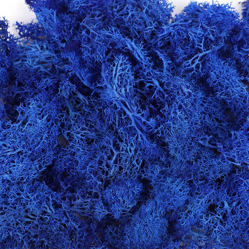 20/40/100g Artificial Green Plants Eternal Life Moss Grass DIY Crafts for Home Garden Room Decoration Mini Landscape Fake Flower