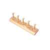 3D Print Non-Magnetic Nail Stand 5 Grid Design Non-Magnetic Nail Showing Holder Heart-Shaped Reusable False Nail Display Rack