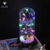 Rose Flower Preserved in Glass Dome with Night Light - Mother's Day or Birthday Gift Ornament