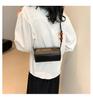 Trendy Underarm Single Shoulder Bag For Women Street Fashion Pu Crossbody Bags 2024 Spring New Simple Sling Bag