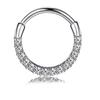 8 Pcs 316L Stainless Steel Septum Nose Rings With CZ Cartilage Tragus Helix Daith Hoop Earrings Piercing Jewelry