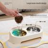 Leak-Proof Cat & Dog Double Bowl: Detachable Stainless Steel Feeding Bowls for Medium & Small Pets.