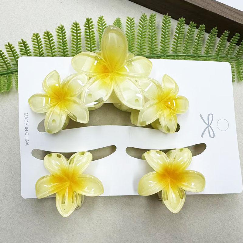 Sada skřipců do vlasů s frangipani: Květinové vlasové doplňky s imitací mramoru pro módní svátky