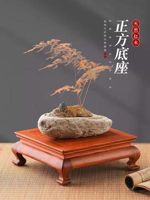 Solid Wood Square Handicraft Ornament Base, Mahogany Head, Peculiar Stone, Wood Carving, Buddha Statue, Bonsai, Display Bracket