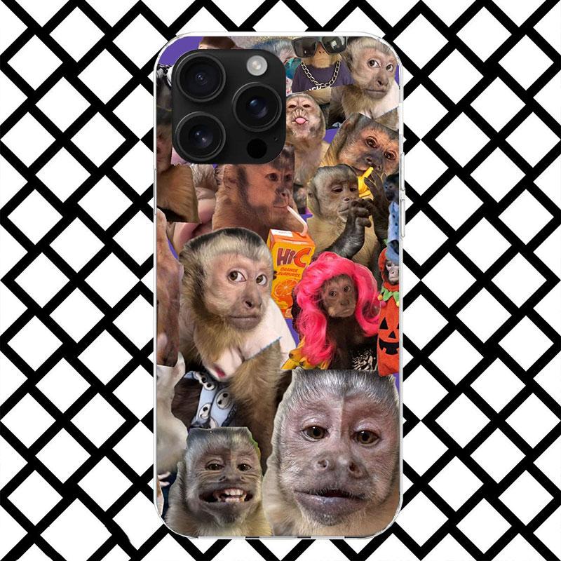 

Monkey Memes Phone Case for iPhone 17 Air 16 16E 15 14 Plus 13 Mini 12 11 Pro Max 7 8 + SE 2020 Soft Cover Fundas 17 Air 16 16E iPhone 14 Pro
