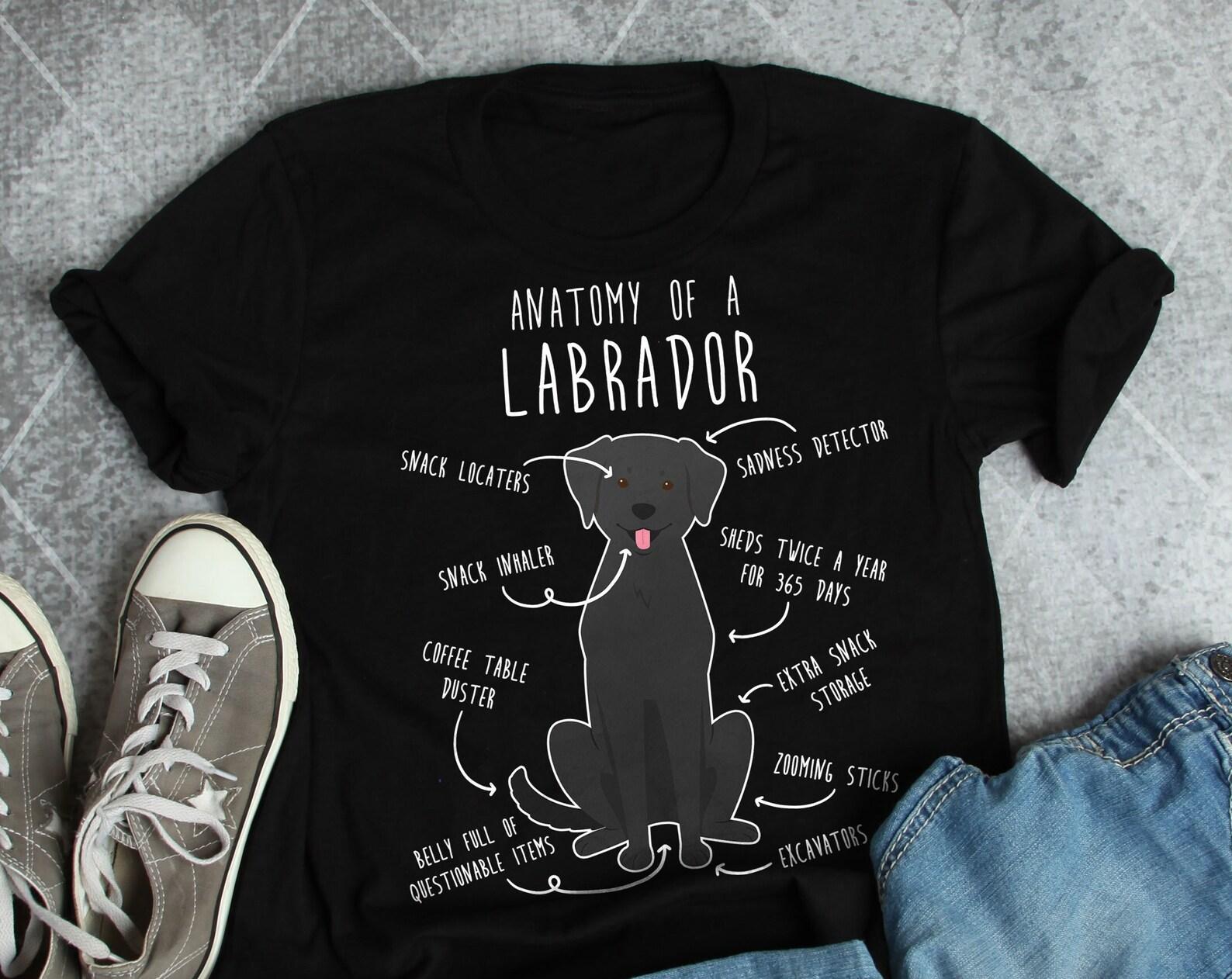 Black Labrador Retriever Shirt, , , Funny Dog Lover Gift, Cute Black Lab Mom Dad T-shirt, Dog Tshirt, Pet Tee, Dog Anatomy Humor 100