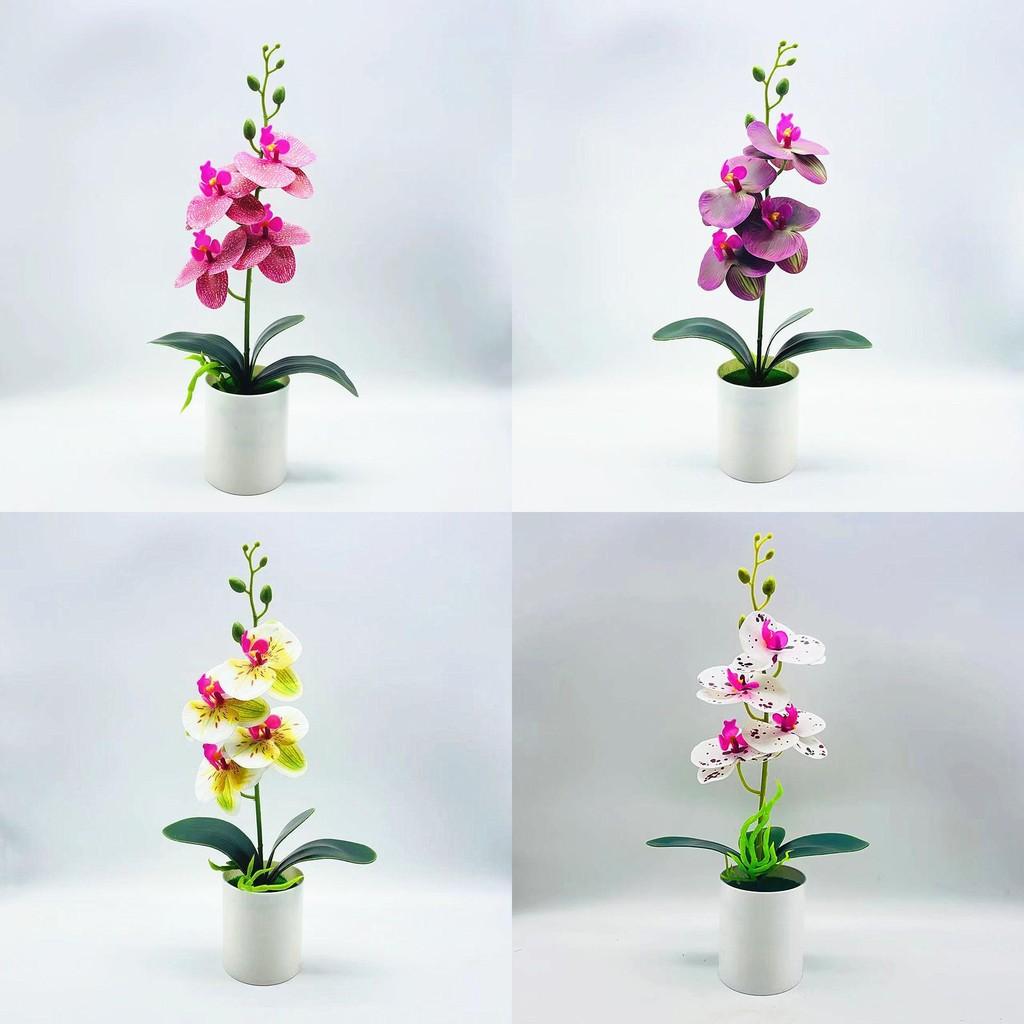 Synthetic Butterfly Orchid Bonsai With Pvc Material For Living Room And Office Decoration