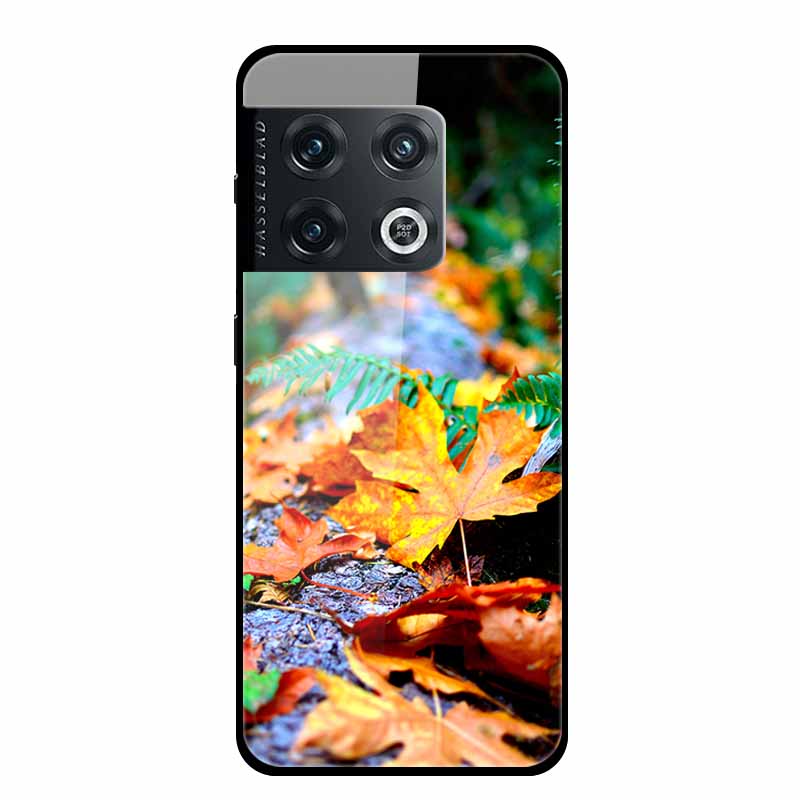 For One plus 10 Pro Case Shockproof Tempered Glass Hard Back Cover For OnePlus 10 Pro 10Pro Oneplus10 1+10 Pro Bumper Coque Case